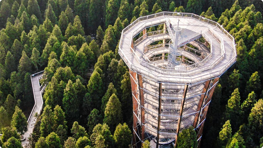 Xiannv-berg - Boomtopwandeling, Chongqing